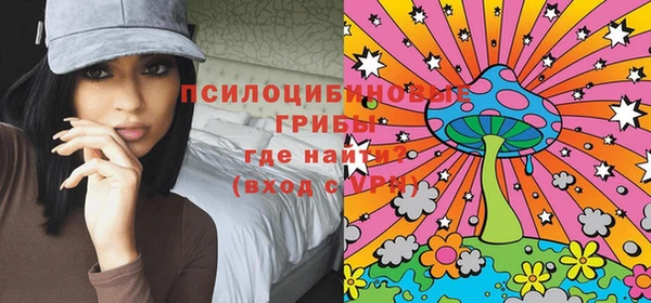 хмурый Алексеевка