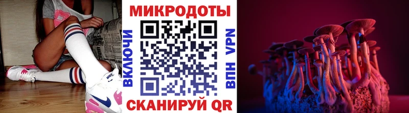 Галлюциногенные грибы Cubensis  купить наркотики сайты  Бологое 